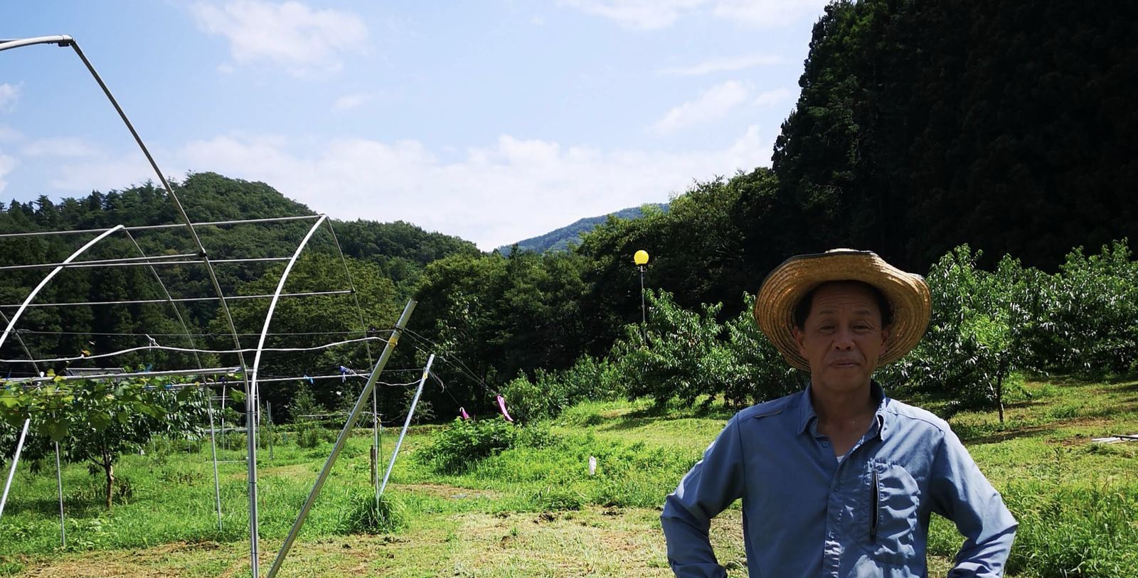 果樹の杜の生産者